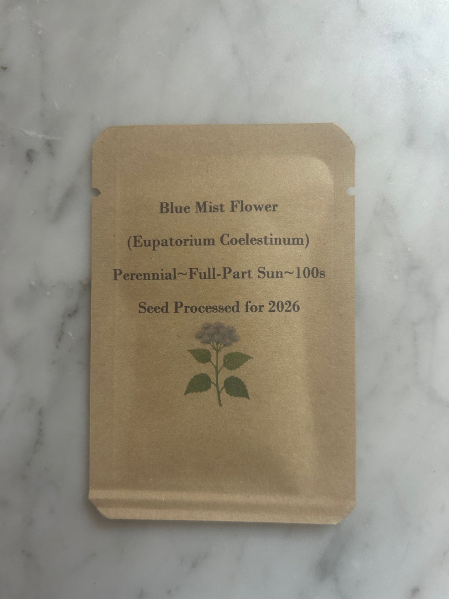 Blue Mist Flower (100 Seeds)