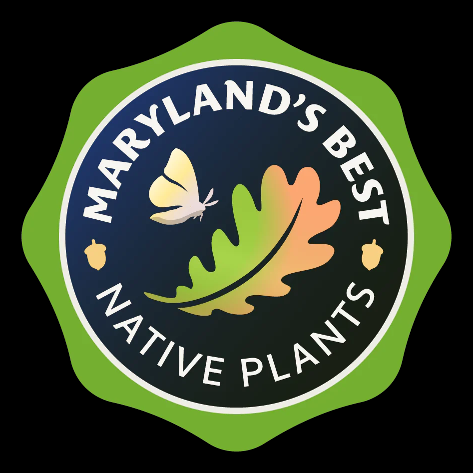 Maryland's Best Native Plants