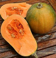 Sucrine Du Berry Squash Seeds (25 Seeds), Annual, Full Sun