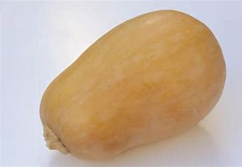 Sucrine Du Berry Squash Seeds (25 Seeds), Annual, Full Sun