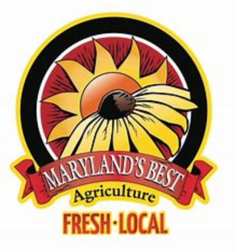 Foxglove Seed - Excelsior Mix (100 Seeds)