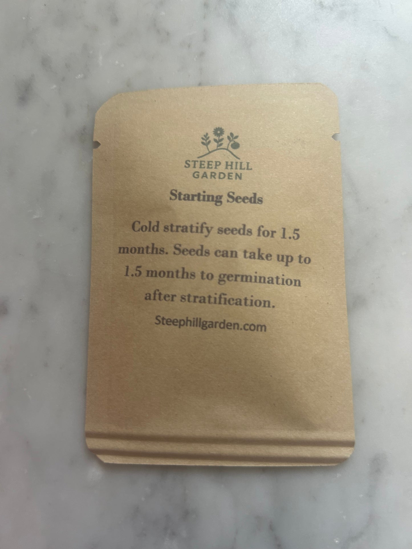 New England Aster Seeds (about 100) - Stratification required for Germination