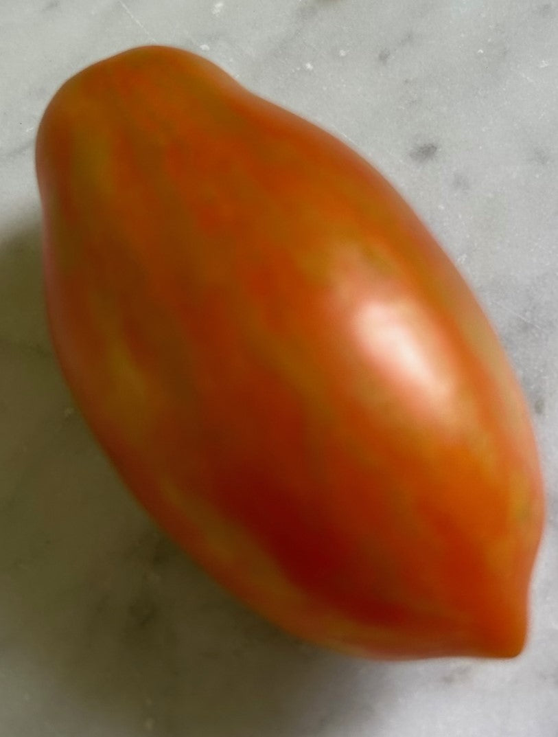 Prairie Fire Tomato Seeds