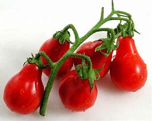 Steep Hill Garden Red Pear Tomato Seeds, 25 Seeds, Full Sun, Annual Vegetable