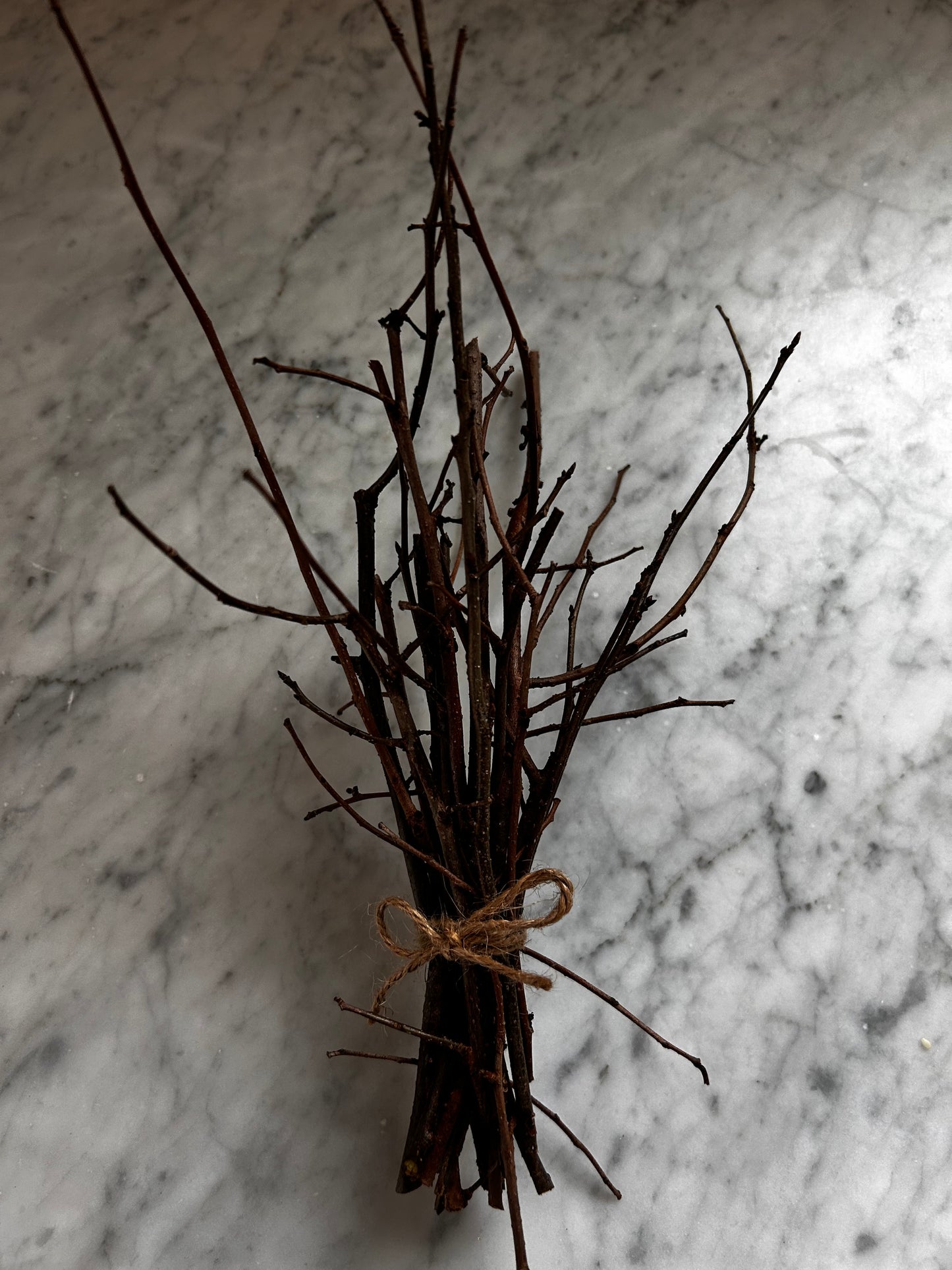 Spicebush Twig Bundle