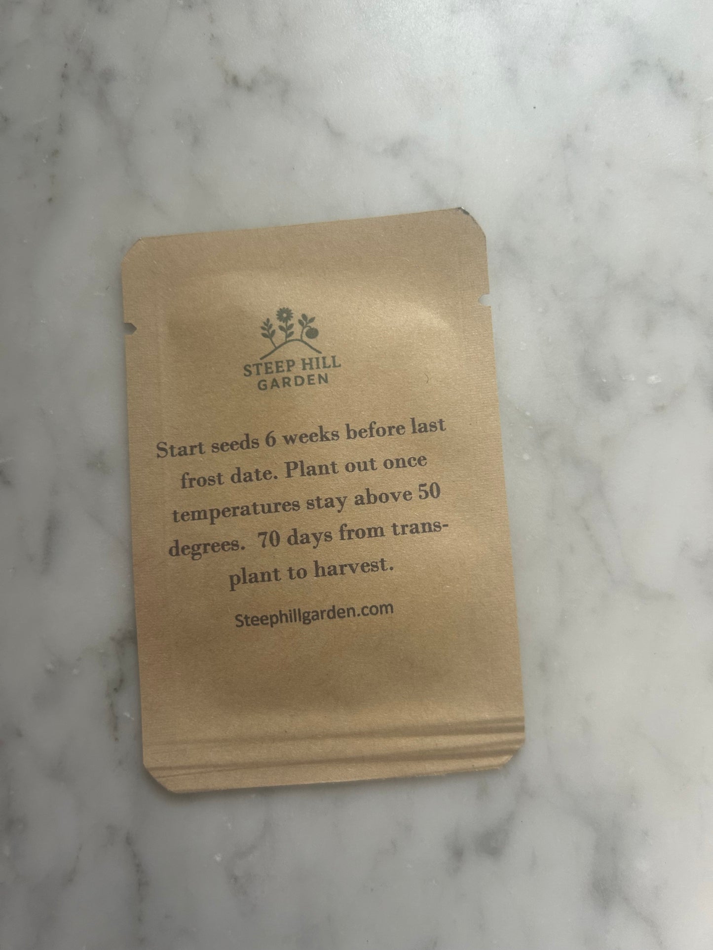 Tomatillo Seeds Chupon de Malinalco Seeds (25 Seeds)