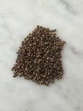 Woodland Poppy Seeds, Native Woodland Perennial, Yellow Spring Blooms, Zones 4-9