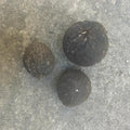 Organic Black Walnuts in Hulls for Ritual Baths - Set of 3, Natural Wellness
