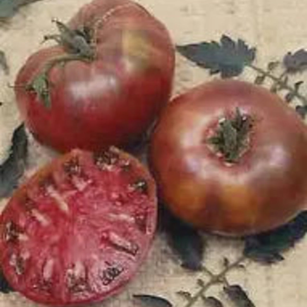 PRE-ORDER Cherokee Purple Tomato Live Plants — plant detail