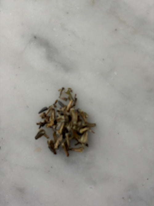 25 Cutleaf Coneflower Seeds