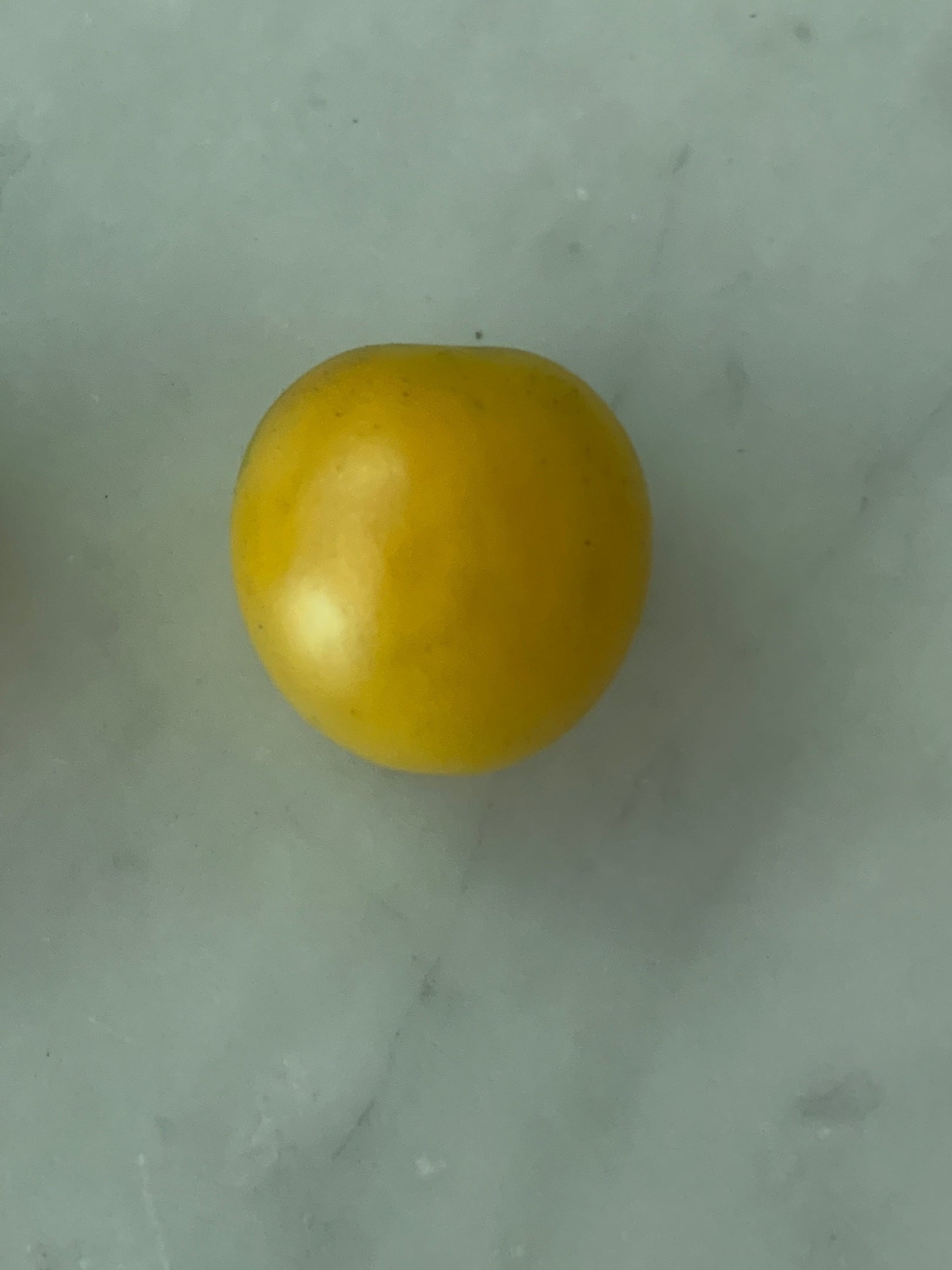 Honey Drop Tomato Seeds
