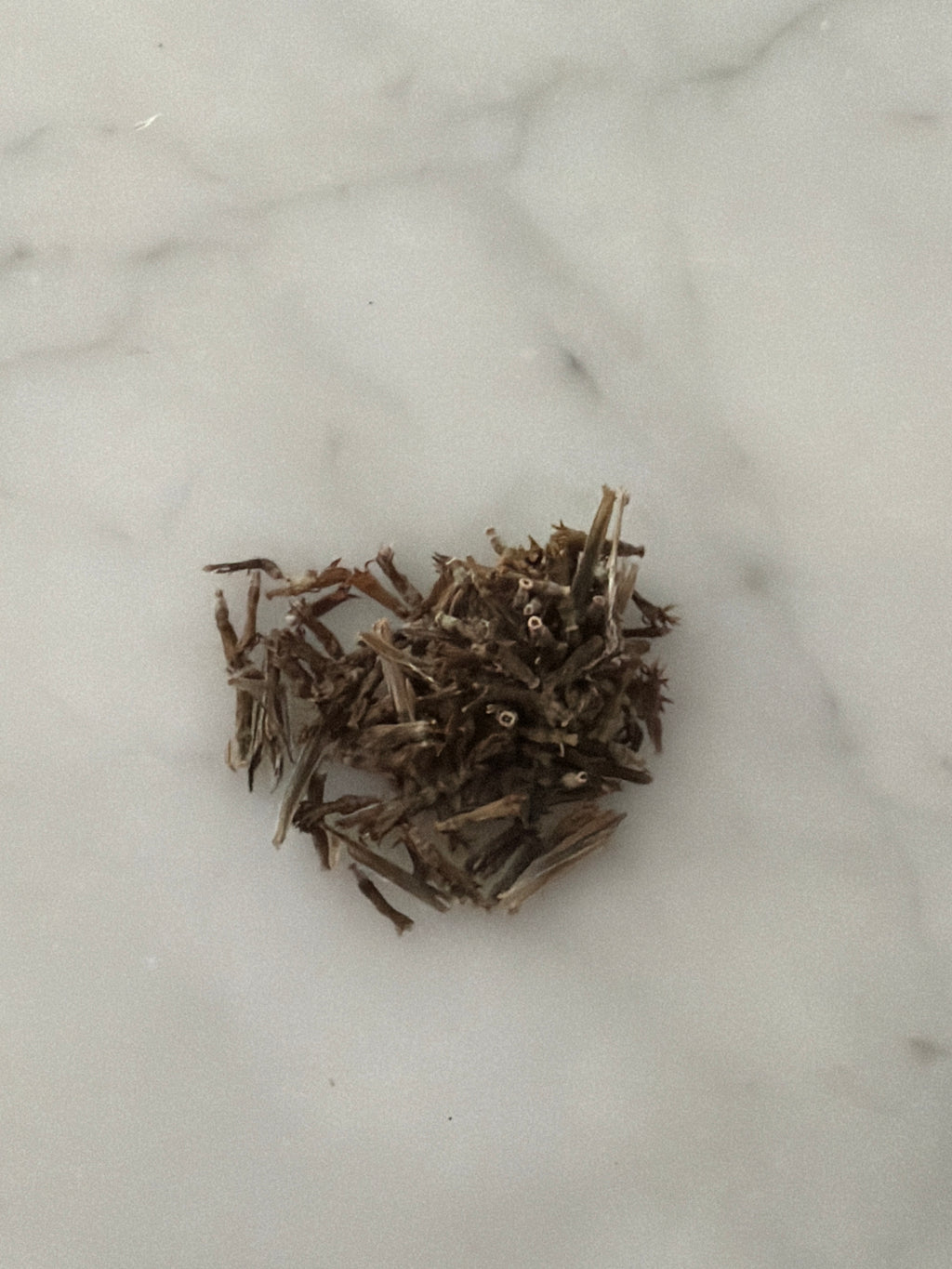 Jerusalem Artichoke Seeds — product image
