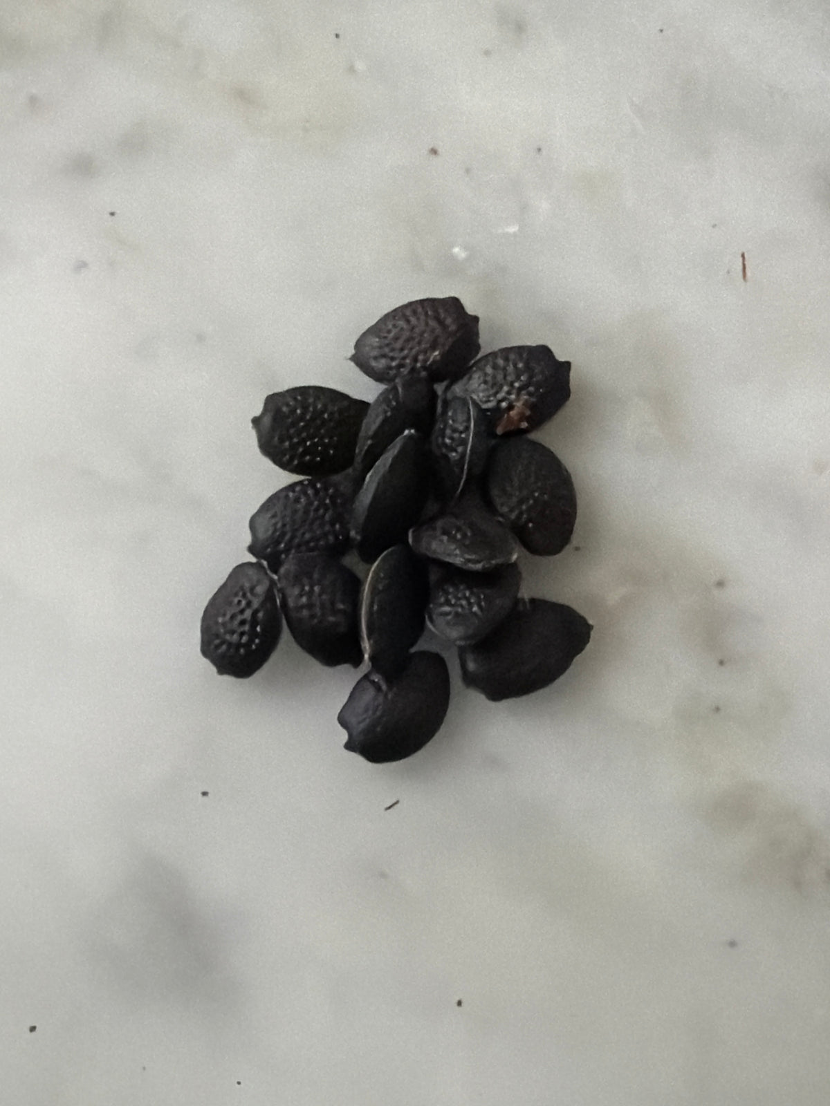 15 Maypop Passionflower Seeds