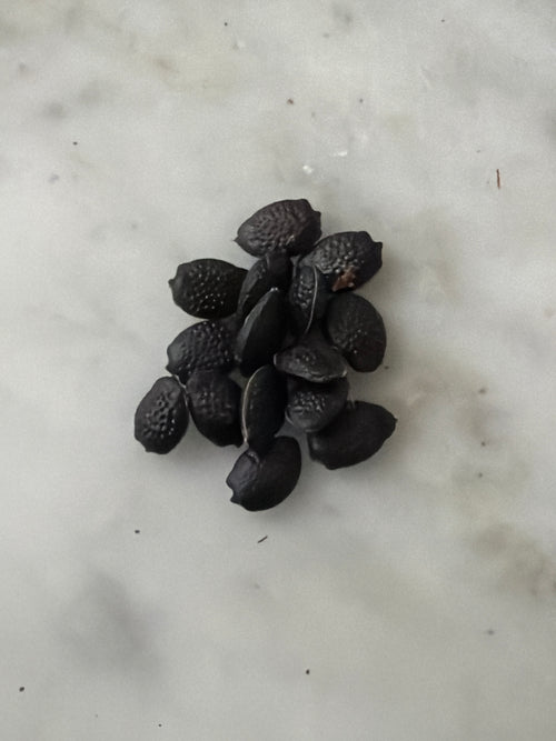 15 Maypop Passionflower Seeds