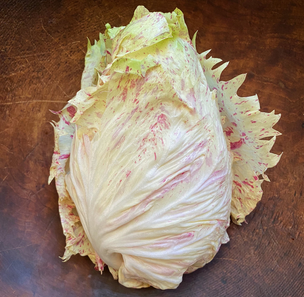 Radicchio 'Mirabella' (Castelfranco) Live Plant – Extra-Early Italian Heirloom, Zones 5–9
