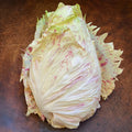 Mirabella Castelfranco radicchio with cream and red-speckled leaves