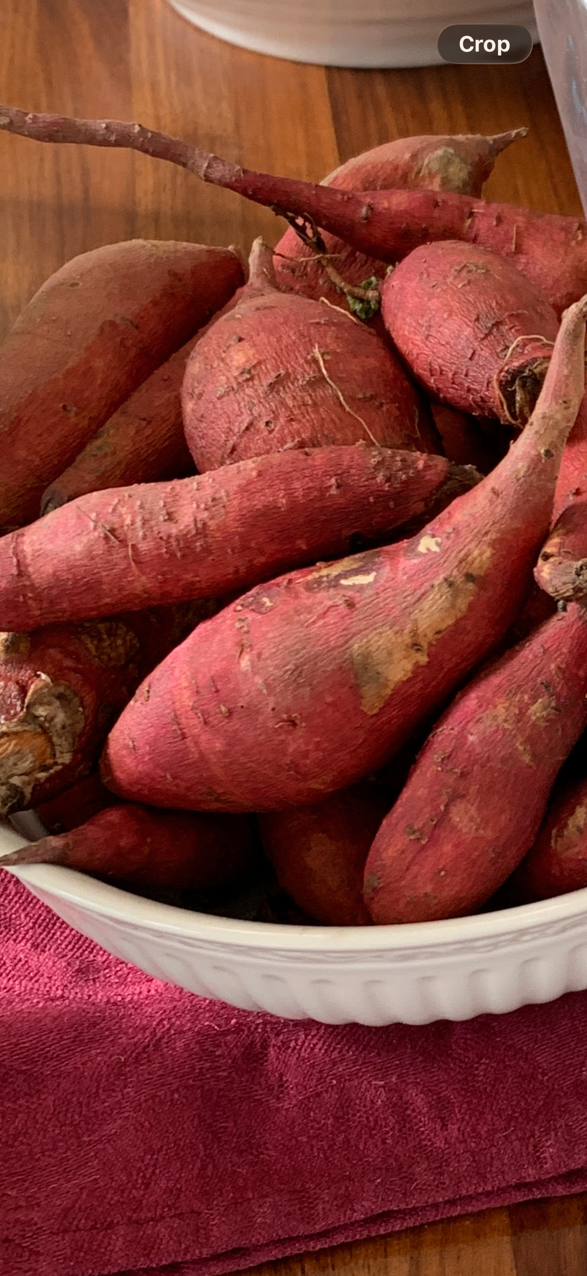 Sweet Potato Plants - Jewel Variety, Live Slips or Potted