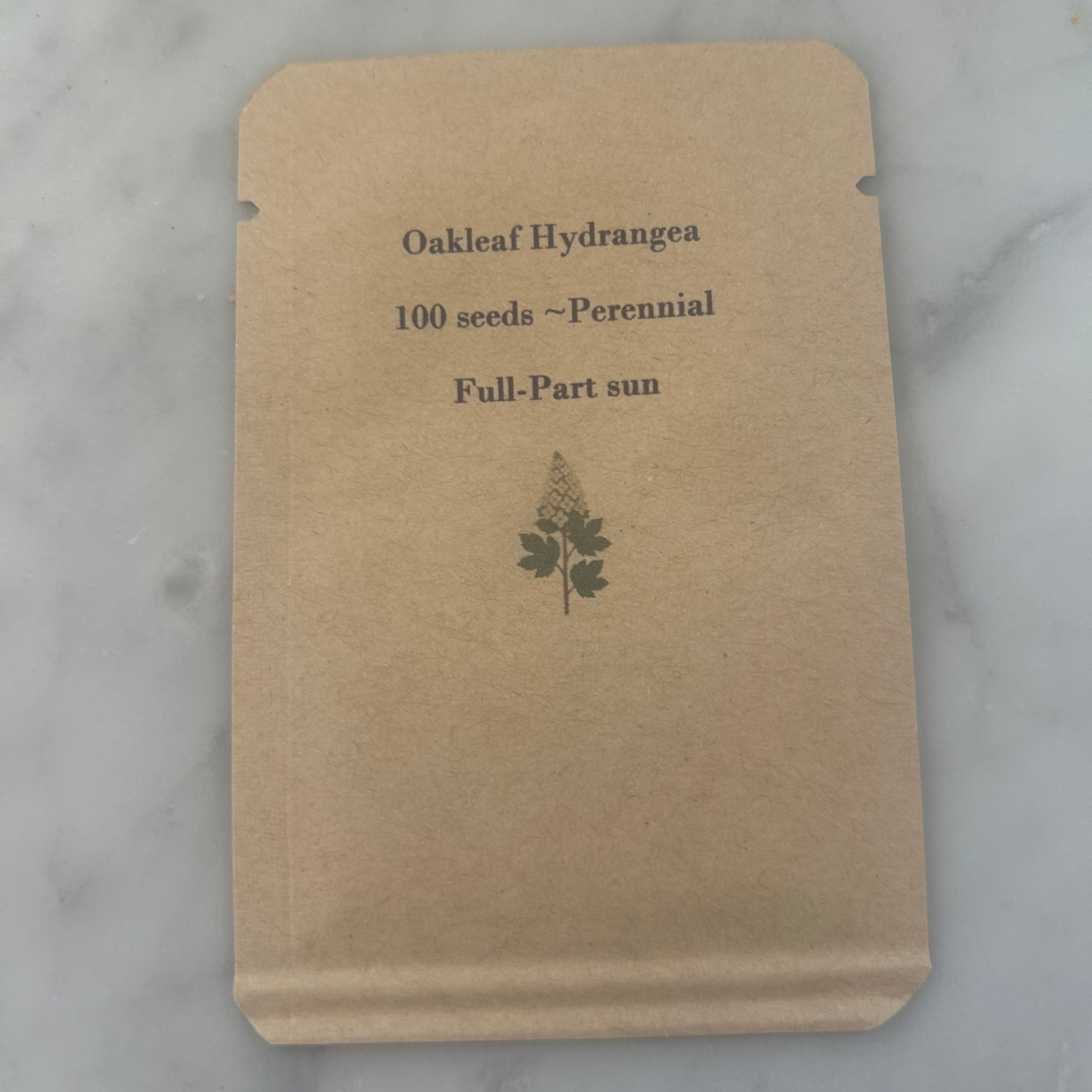Oakleaf Hydrangea Seeds (Hydrangea quercifolia) – 100 Seeds, Native Shrub, Zones 5–9