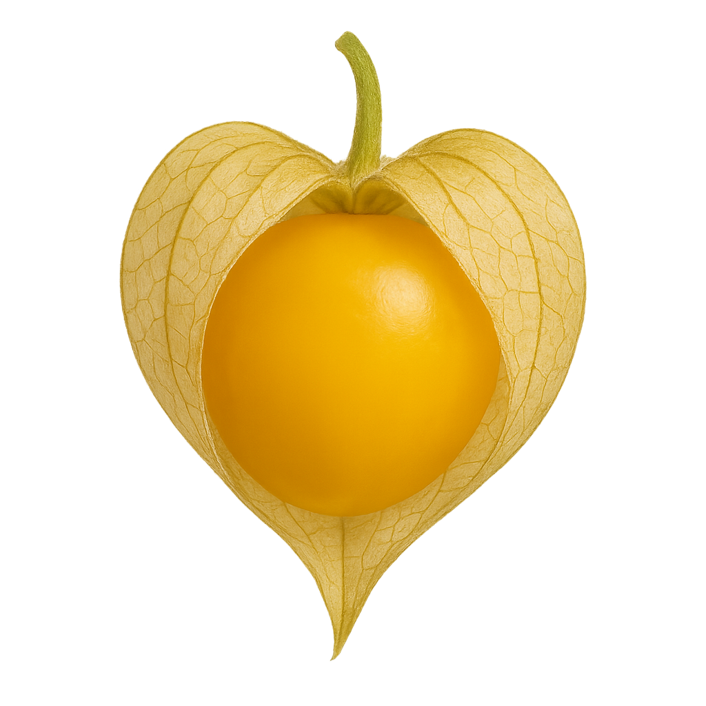 Pineapple Ground Cherry Starter Plants, Full Sun, Annual Fruit, Steep Hill Garden