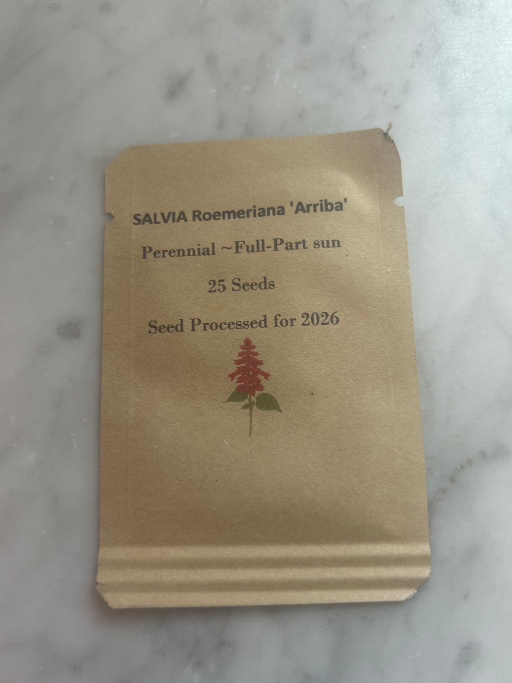 Red Salvia Arriba Seeds - 25 Count, Native Hummingbird Plant, Deer Resistant, Zones 7-10
