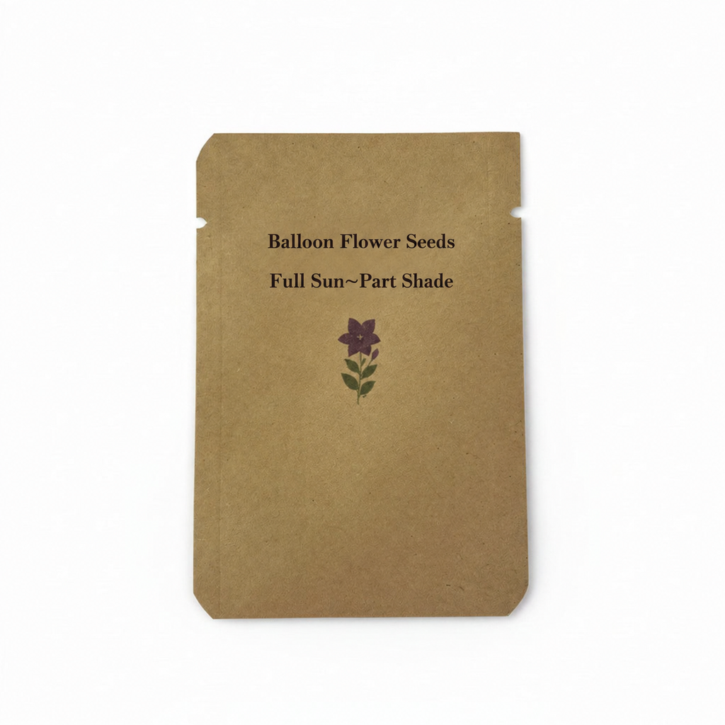 Balloon flower seed packet front