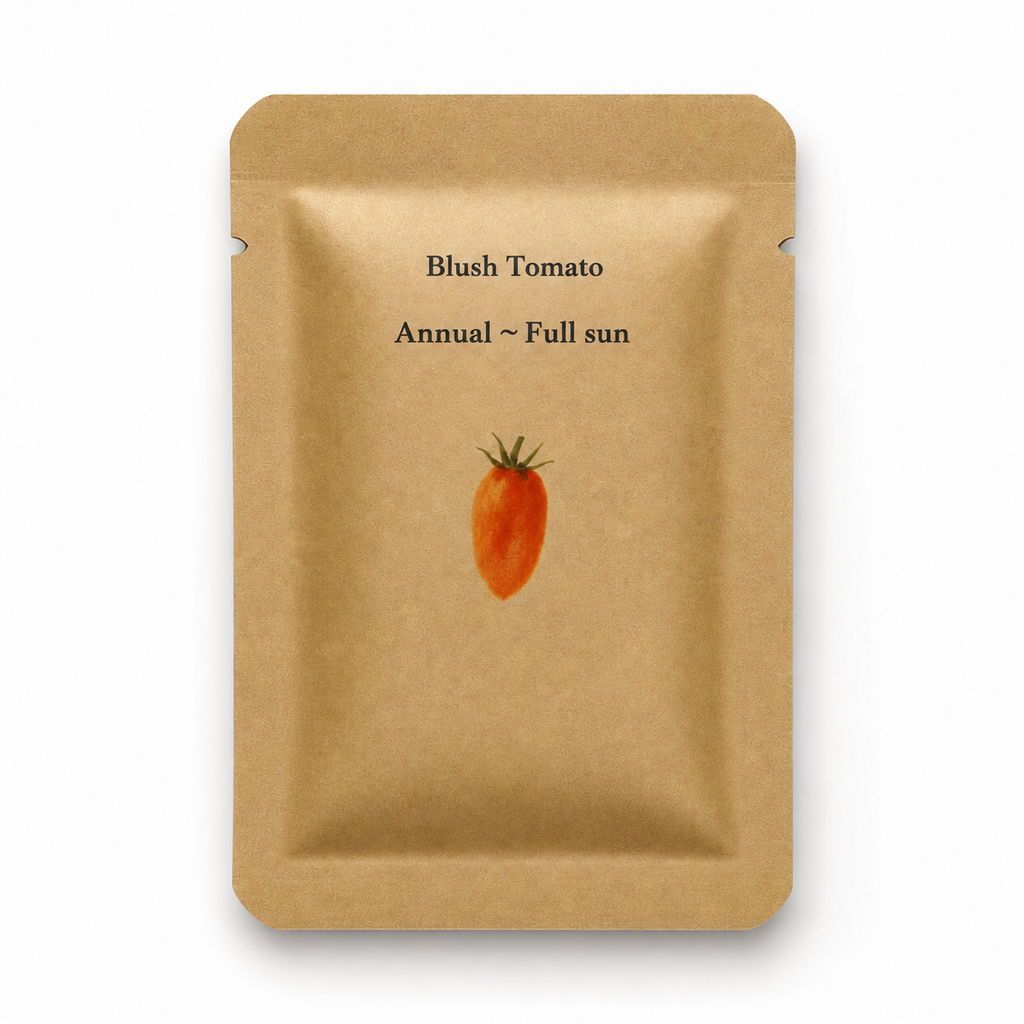 Blush tomato seed packet front with tomato illustration