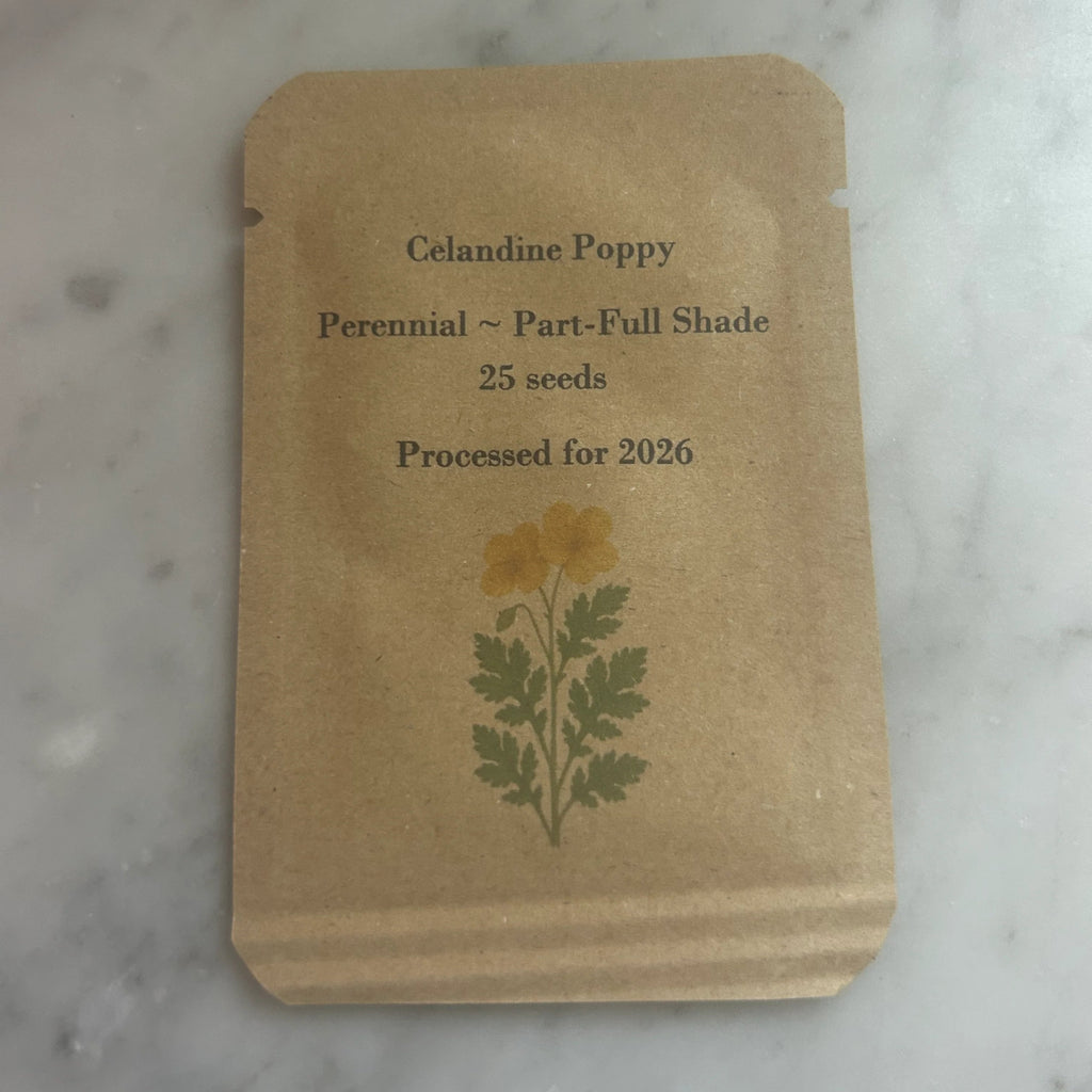 Woodland Poppy Seeds, Native Woodland Perennial, Yellow Spring Blooms, Zones 4-9