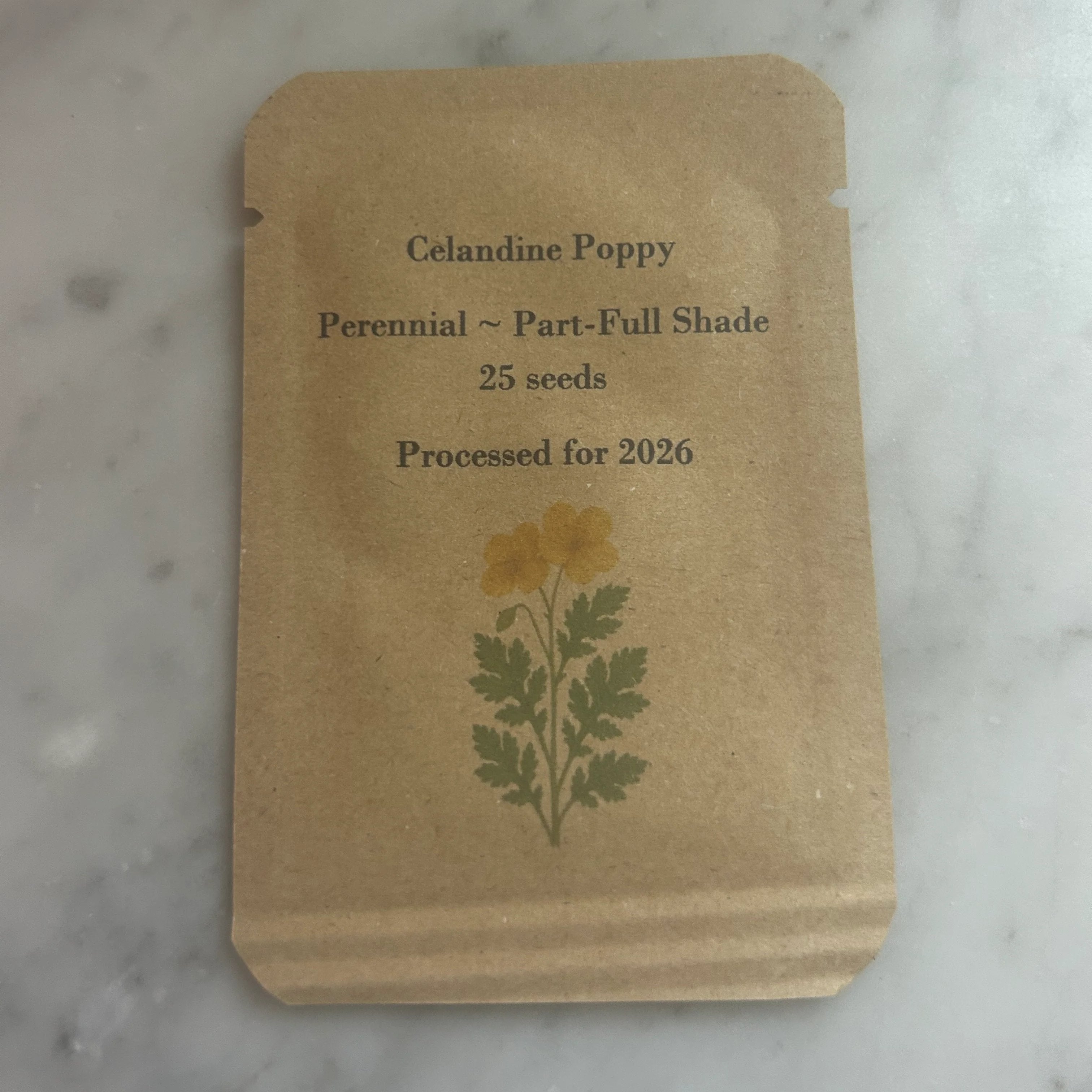 Woodland Poppy Seeds, Native Woodland Perennial, Yellow Spring Blooms, Zones 4-9