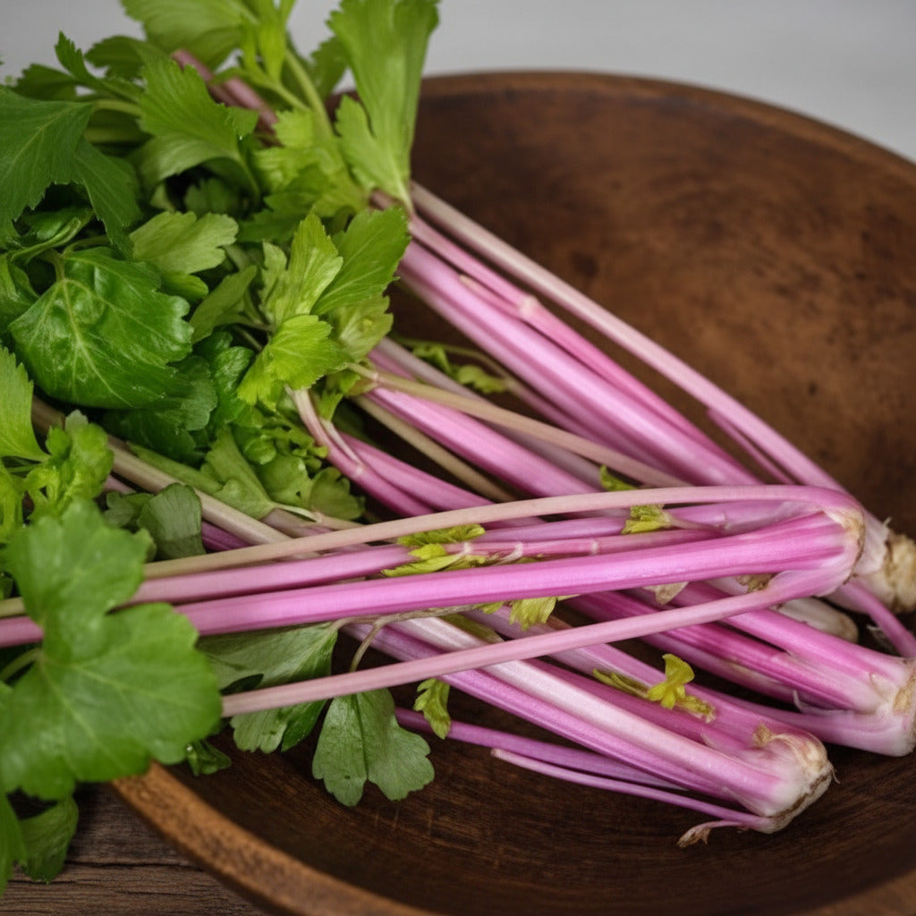 Mature Chinese Pink Celery plant showing vivid pink stalks