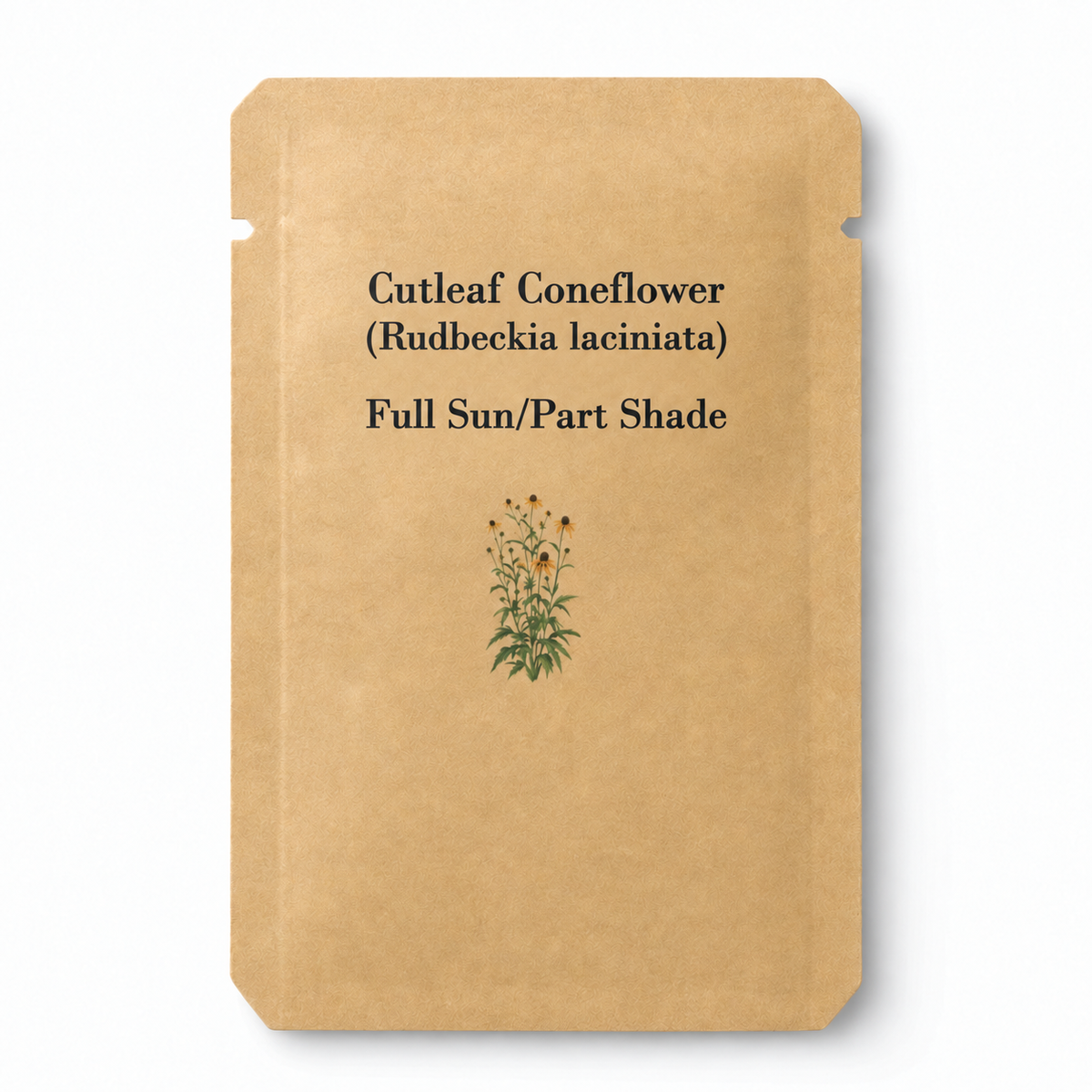 25 Cutleaf Coneflower (Rudbeckia laciniata) Seeds, Tall Yellow Perennial — seed packet image
