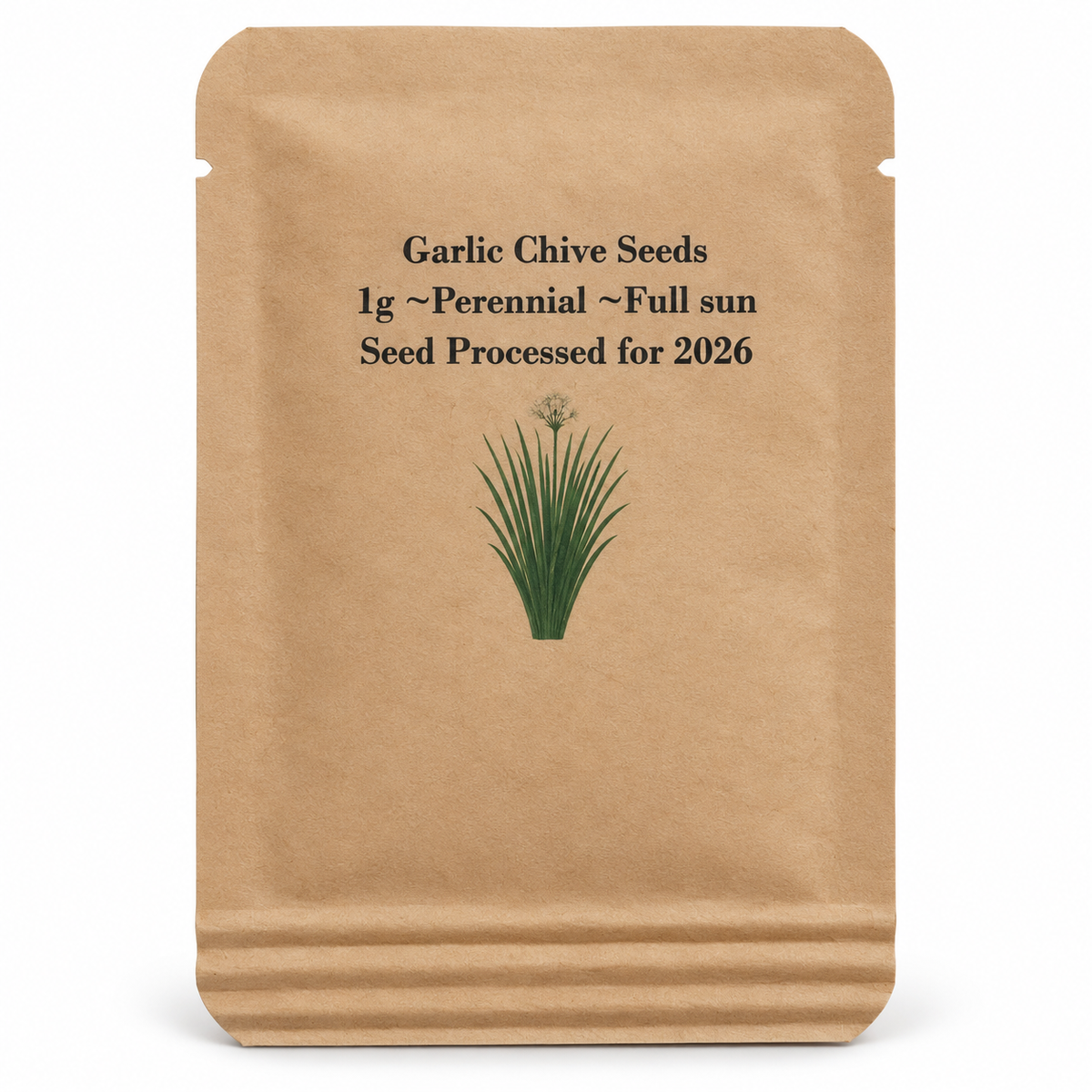 Garlic Chive Seeds (Allium tuberosum) packet front