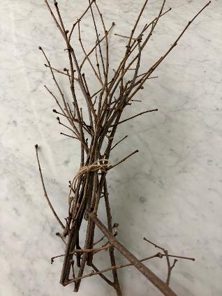 Hazelnut Twigs – Crafting, Floral & Ritual Bundles