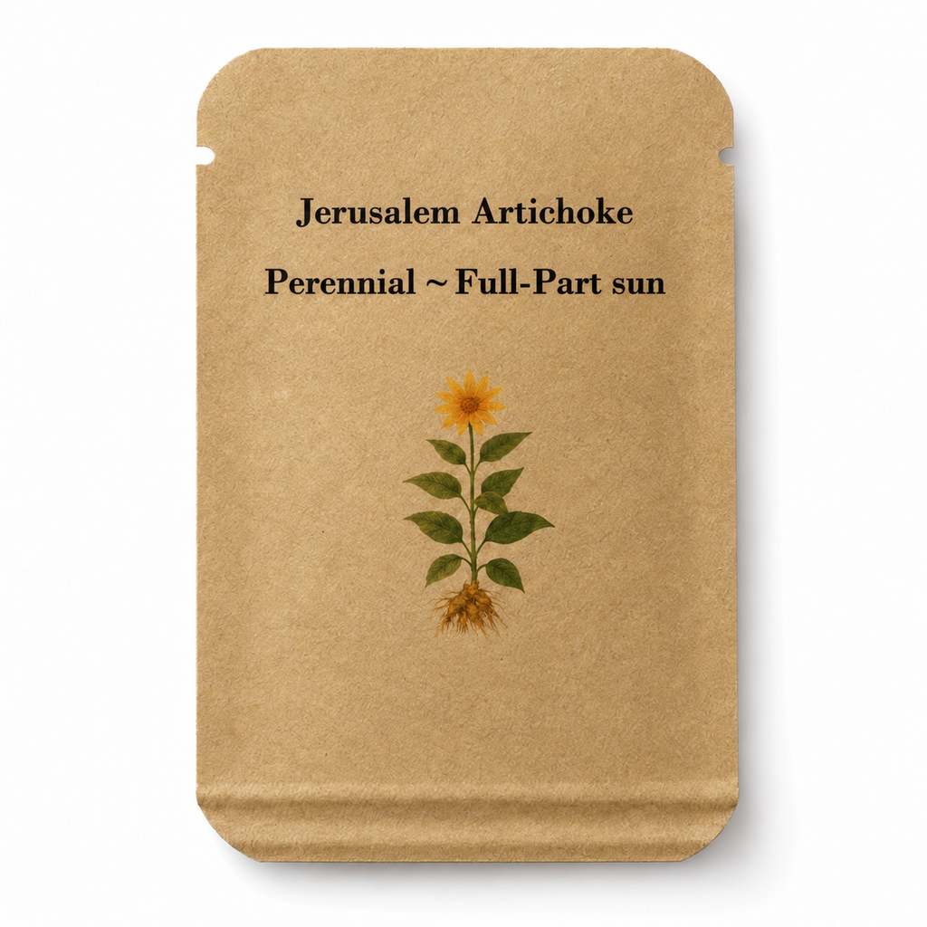 Jerusalem artichoke seed packet front