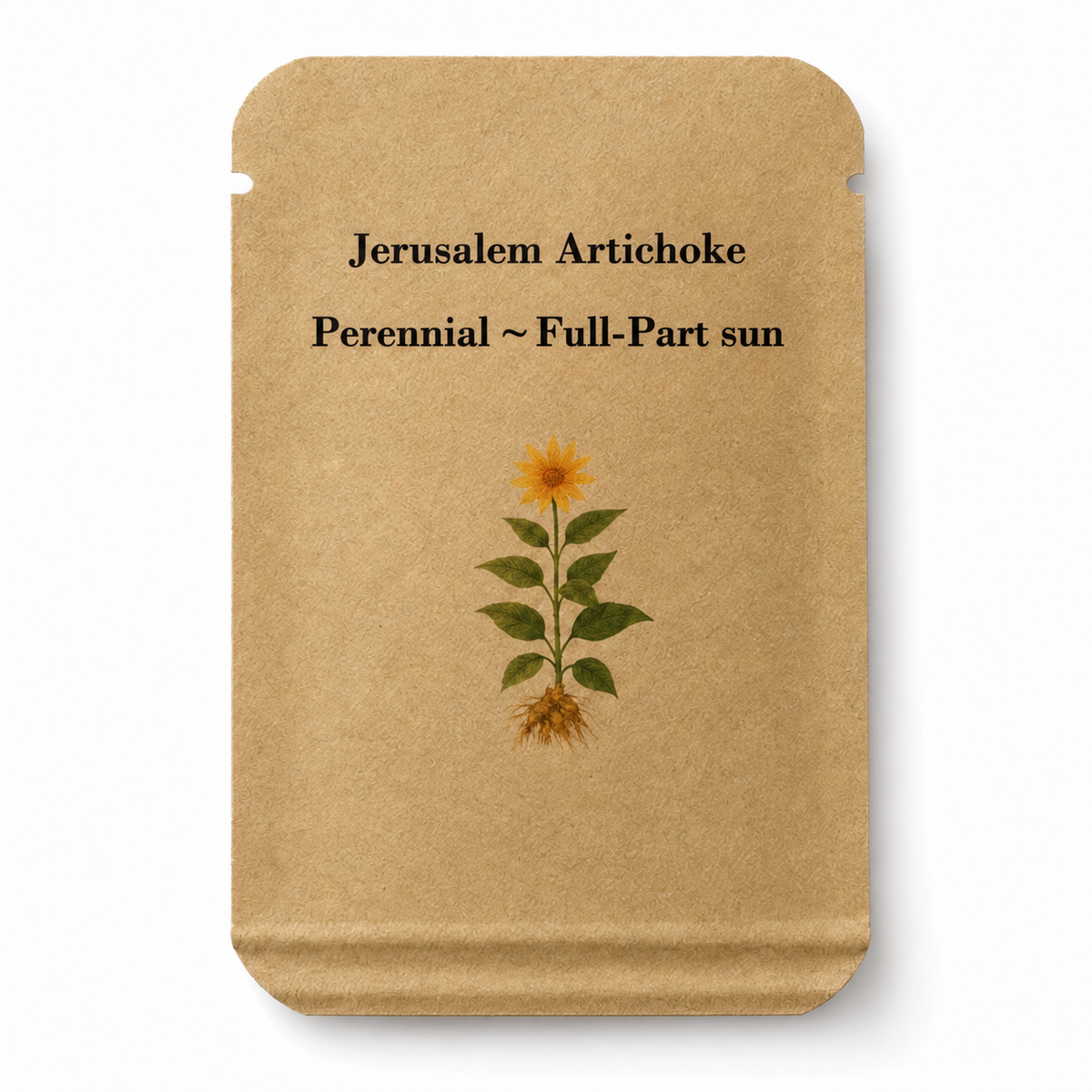 100 Jerusalem Artichoke Seeds (Helianthus tuberosus) – Perennial Vegetable – Full Sun — seed packet image