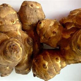 Jerusalem Artichoke Tuber