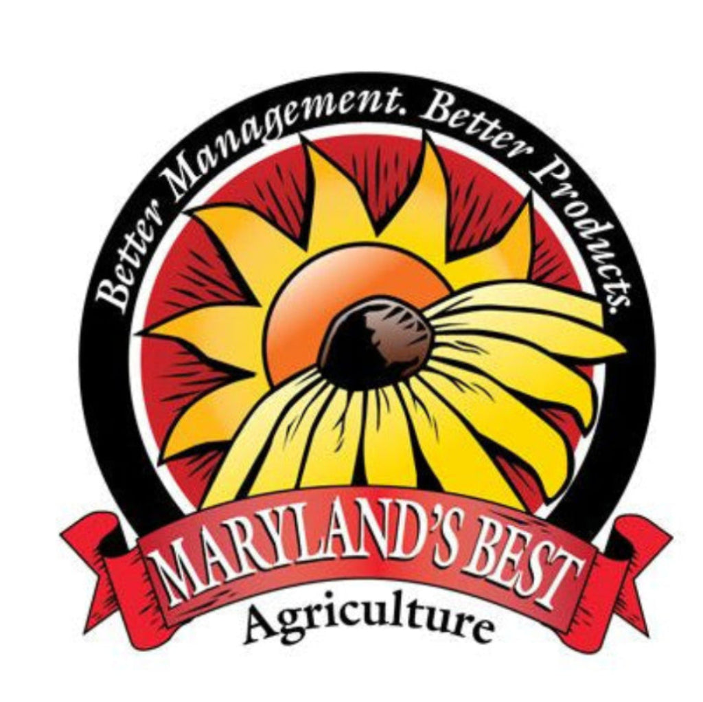 Maryland 
