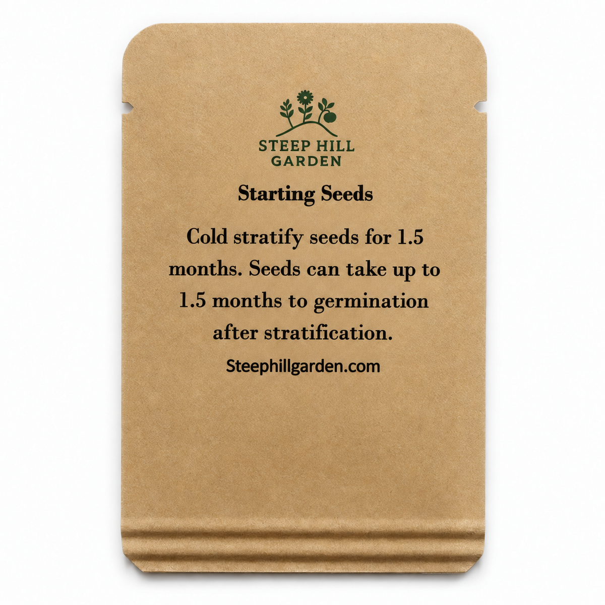 100 New England Aster Seeds (Symphyotrichum novae-angliae), Native Fall Pollinator — seed packet image