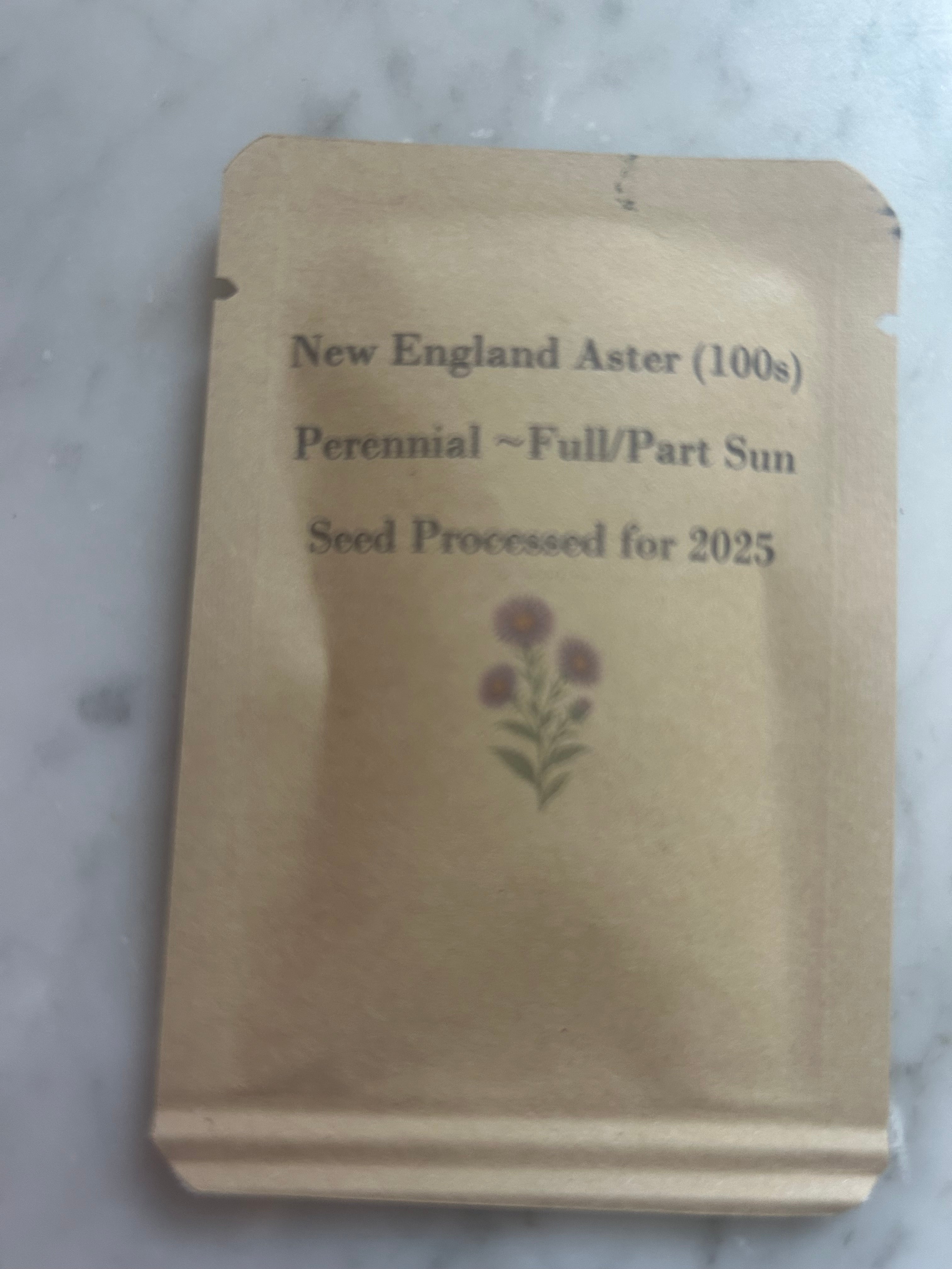 Steep Hill Garden New England Aster Seeds - Native Fall Bloomer, Pollinator-Friendly, 100 Count
