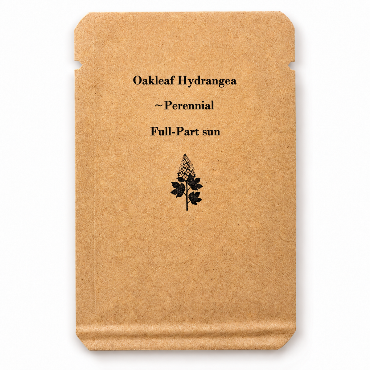 100 Oakleaf Hydrangea Seeds (Hydrangea quercifolia) – Native Flowering Shrub – Zones 5–9 — seed packet image