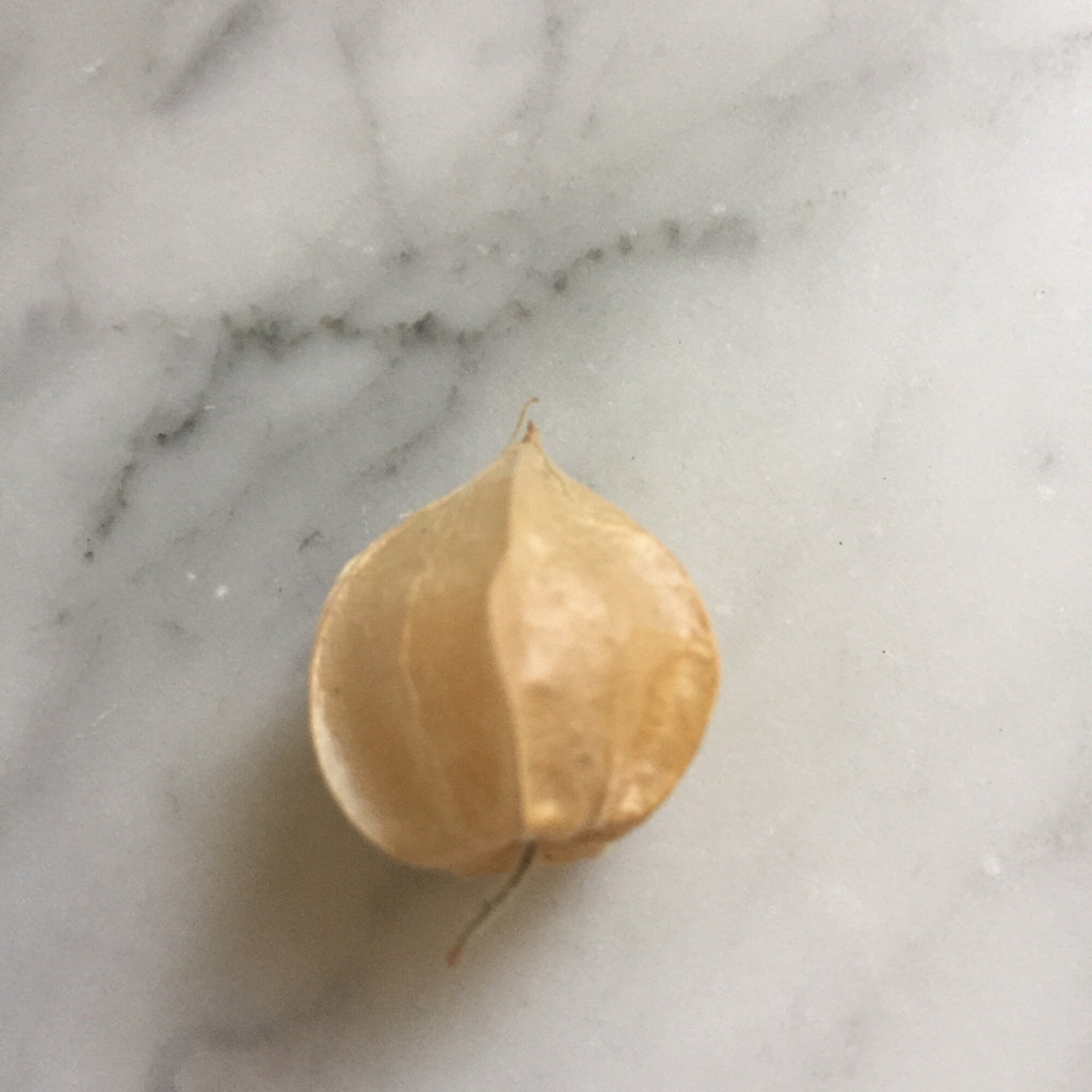 Pineapple Ground Cherry Seeds