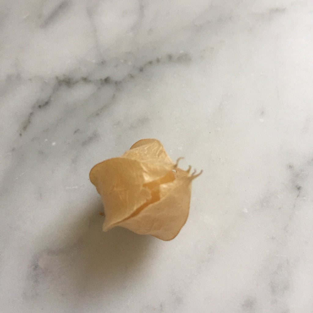 Pineapple Ground Cherry Seeds