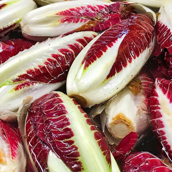 Radicchio 'Rosa di Treviso' Live Plant – Italian Heirloom