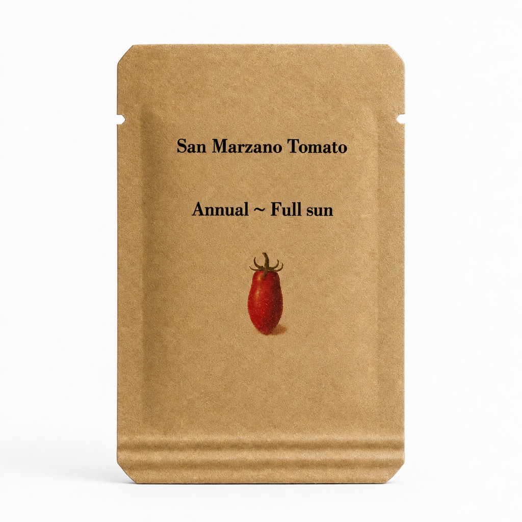 San Marzano Lungono Tomato Seeds - Heirloom Paste Tomato, Italian Variety, Full Sun — seed packet image