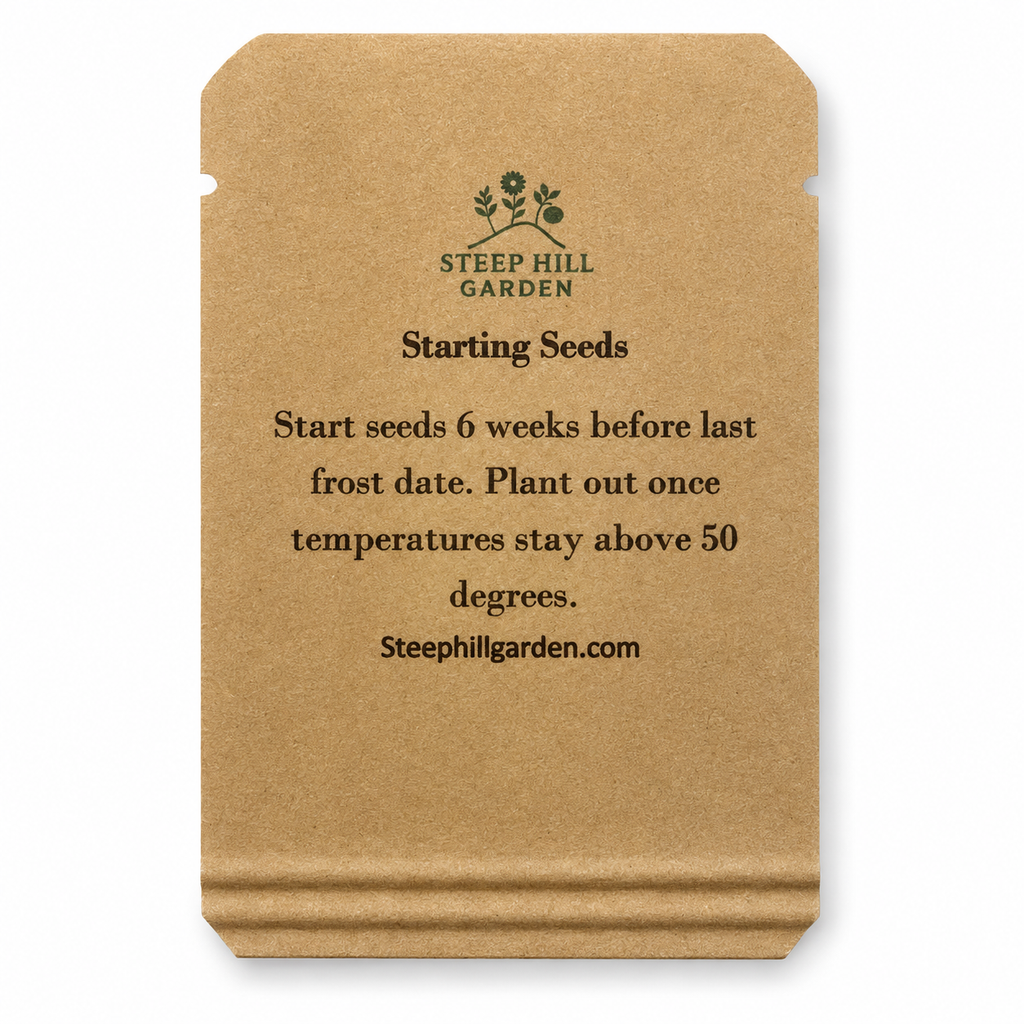 Tomato seed packet back — clean studio product photo