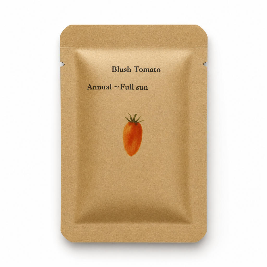 Blush Tomato Seeds — seed packet front — clean studio product photo