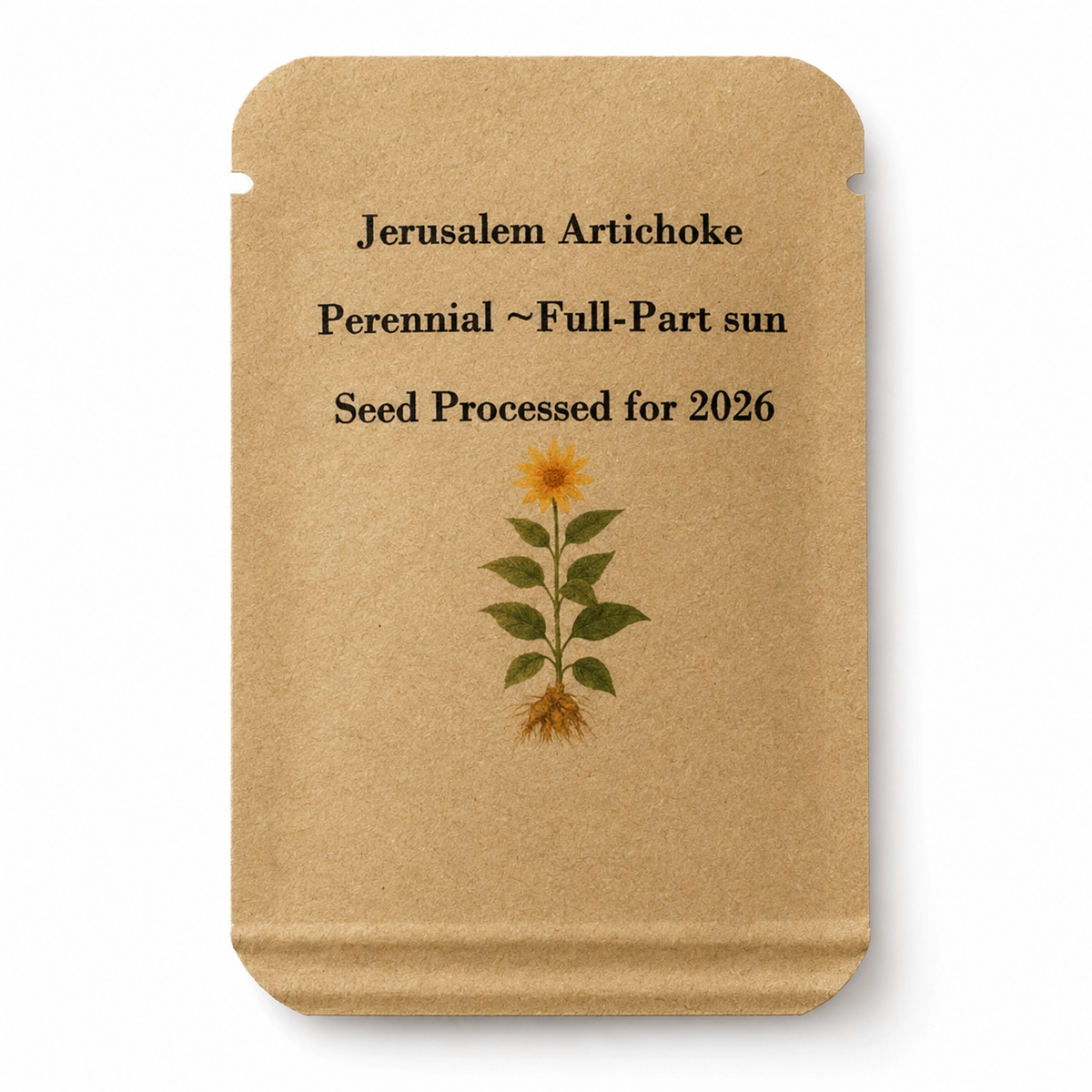 Jerusalem Artichoke Seeds - Helianthus Tuberosus, Perennial Vegetable, Full Sun, Zones 3-9 — seed packet front — clean studio product photo