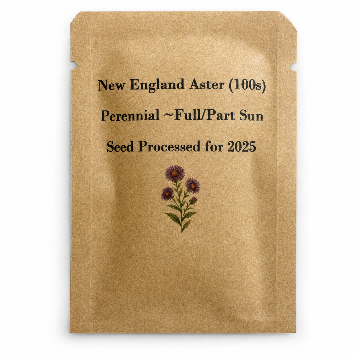 New England Aster Seeds — seed packet front — clean studio product photo