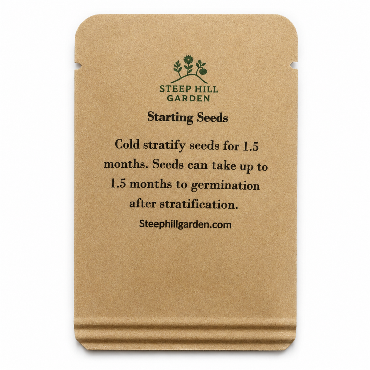 New England Aster Seeds — seed packet back — clean studio product photo
