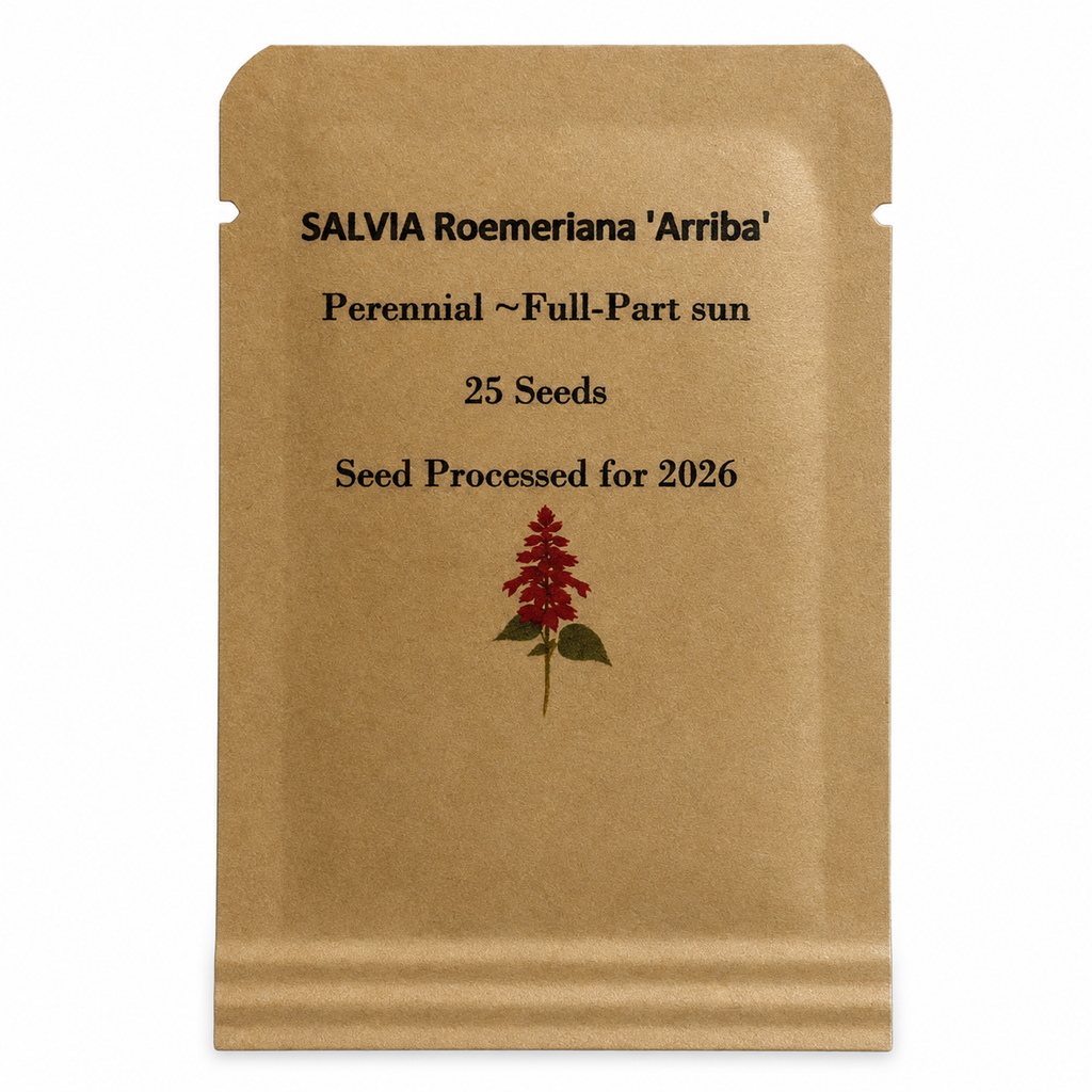 Red Salvia Arriba Seeds - 25 Count, Native Hummingbird Plant, Deer Resistant, Zones 7-10 — seed packet front — clean studio product photo