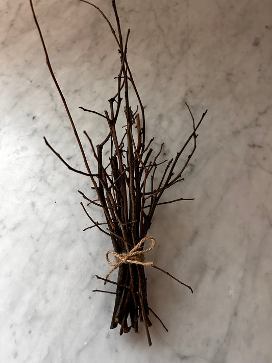 Spicebush Twig Bundle